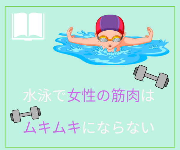水泳での女性の筋肉